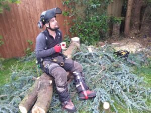 Cleared site after tree removal in Chester