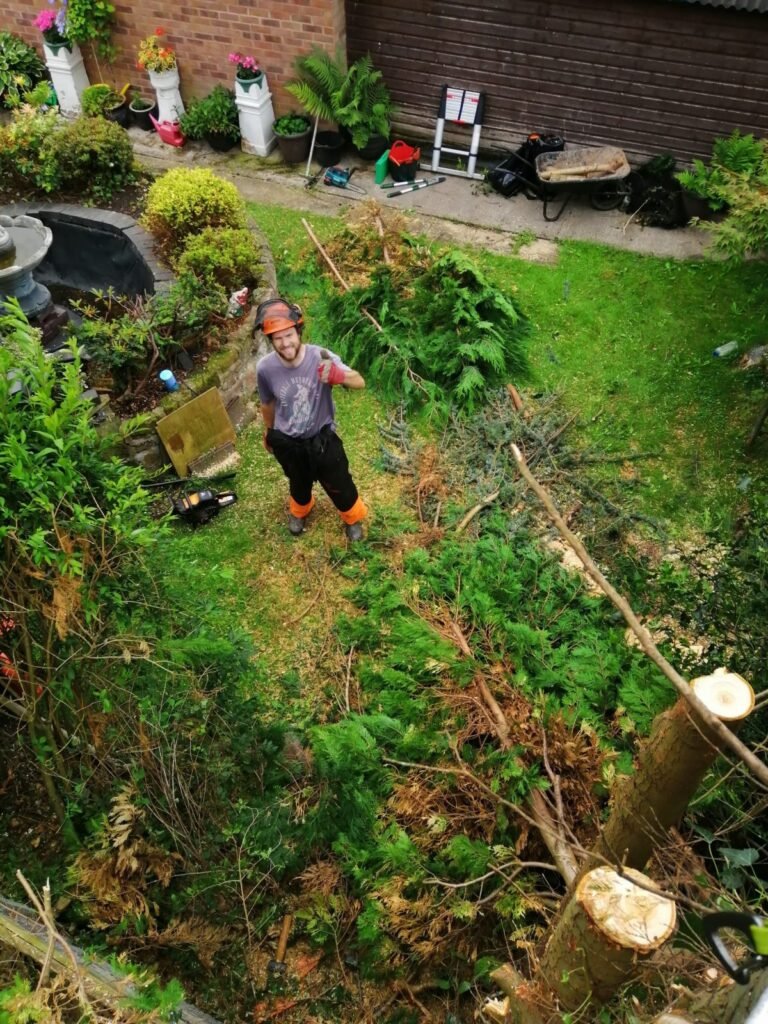 Leylandii conifer removal in Littleton, Chester