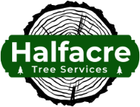 Halfacre Tree Services