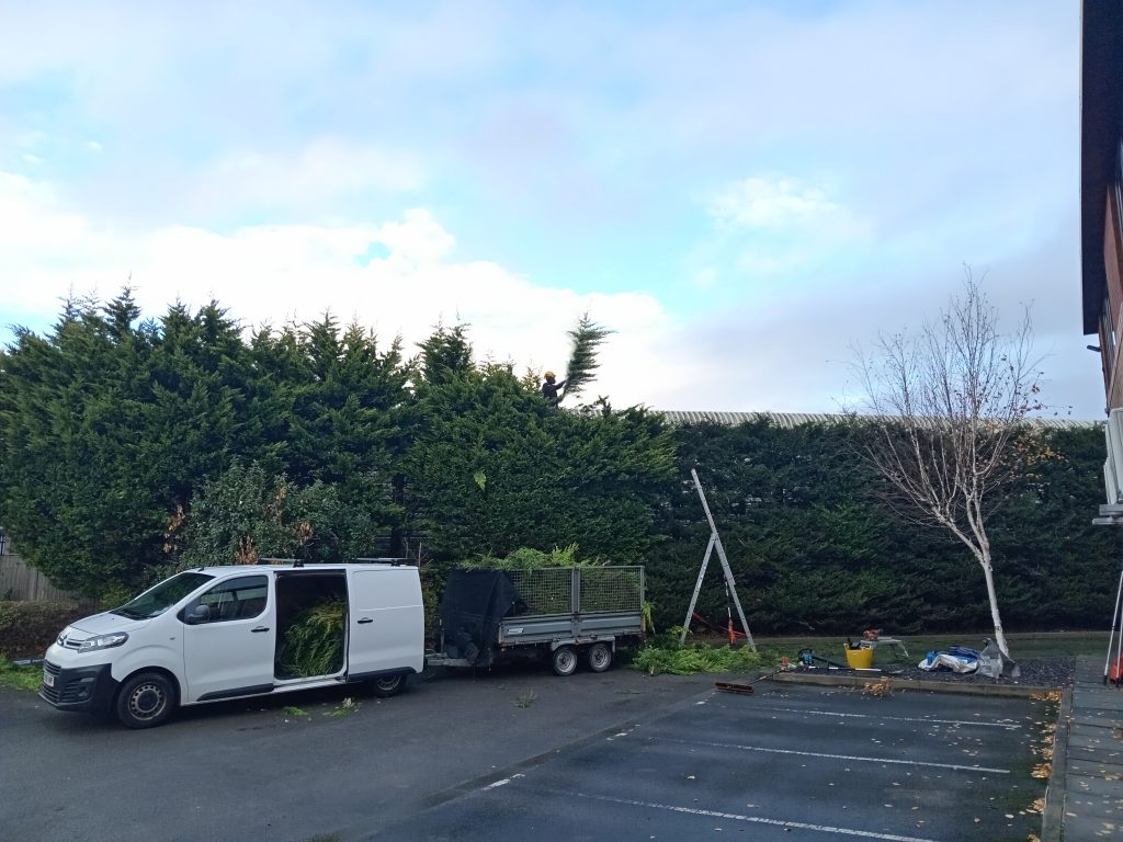 halfacre tree services team cutting leylandii hedge sealand road chester