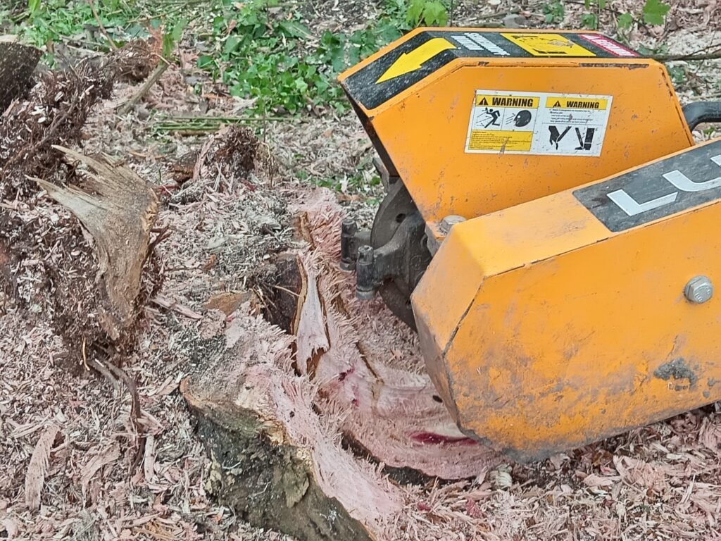 Tree stump ground below ground level, leaving a tidy finish