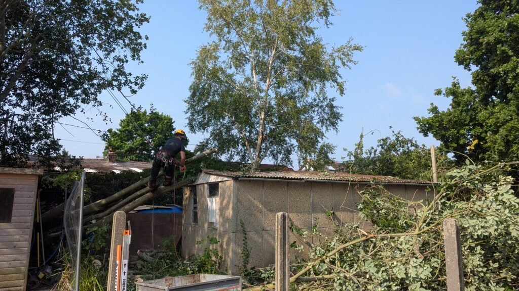 Removing a fallen tree from a garage roof beneath telephone lines near Chester