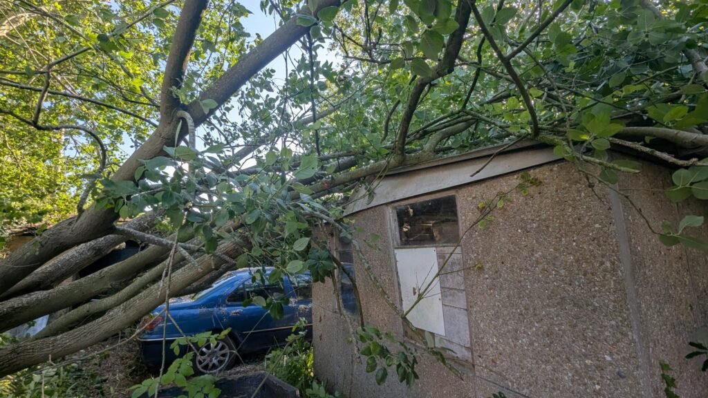 Storm-damaged poplar lying across a garage and parked car in Great Barrow